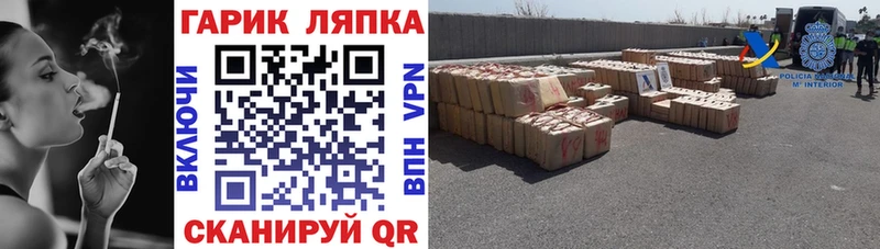 Купить где  Всеволожск  ГАШ Premium 