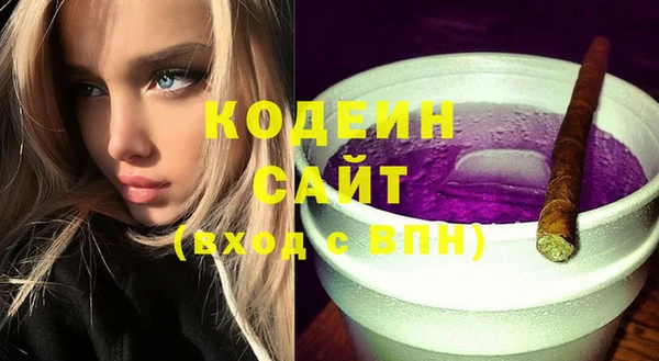 хмурый Дмитриев