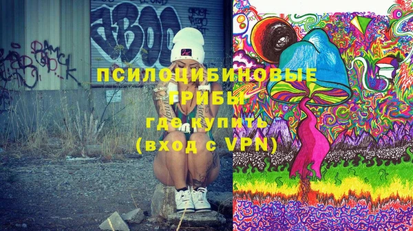 хмурый Дмитриев