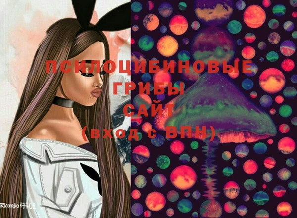 хмурый Дмитриев