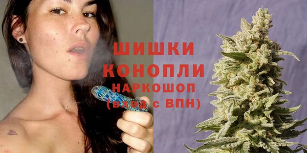 хмурый Дмитриев