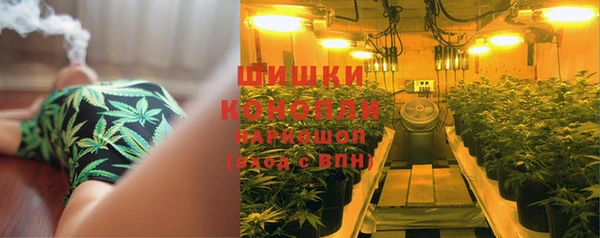хмурый Дмитриев